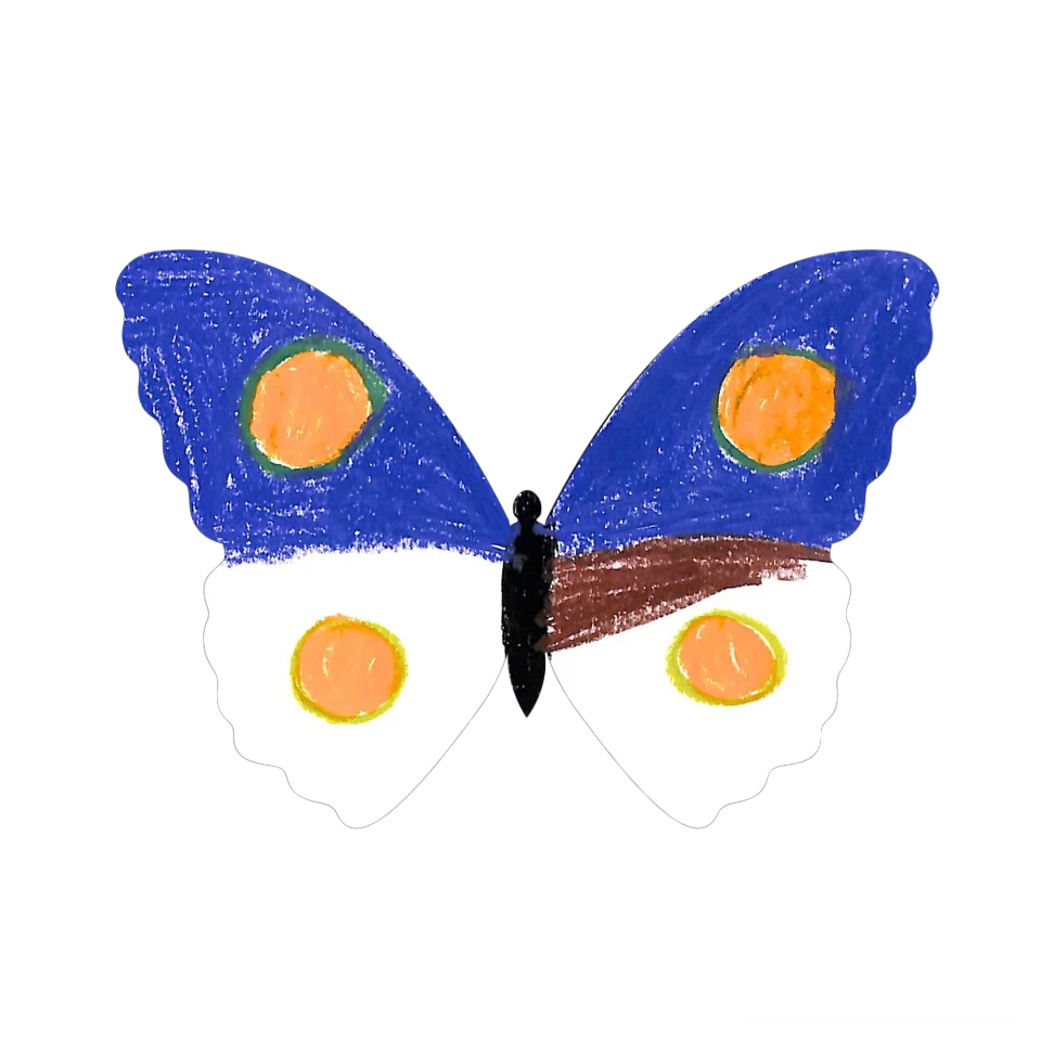 Original Butterfly Image