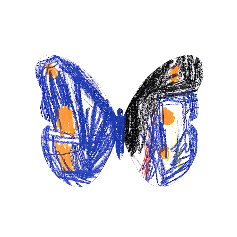 Original Butterfly Image