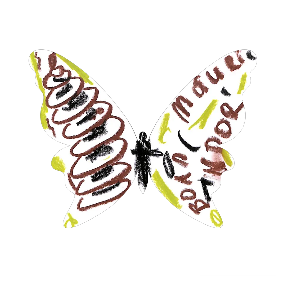 Original Butterfly Image