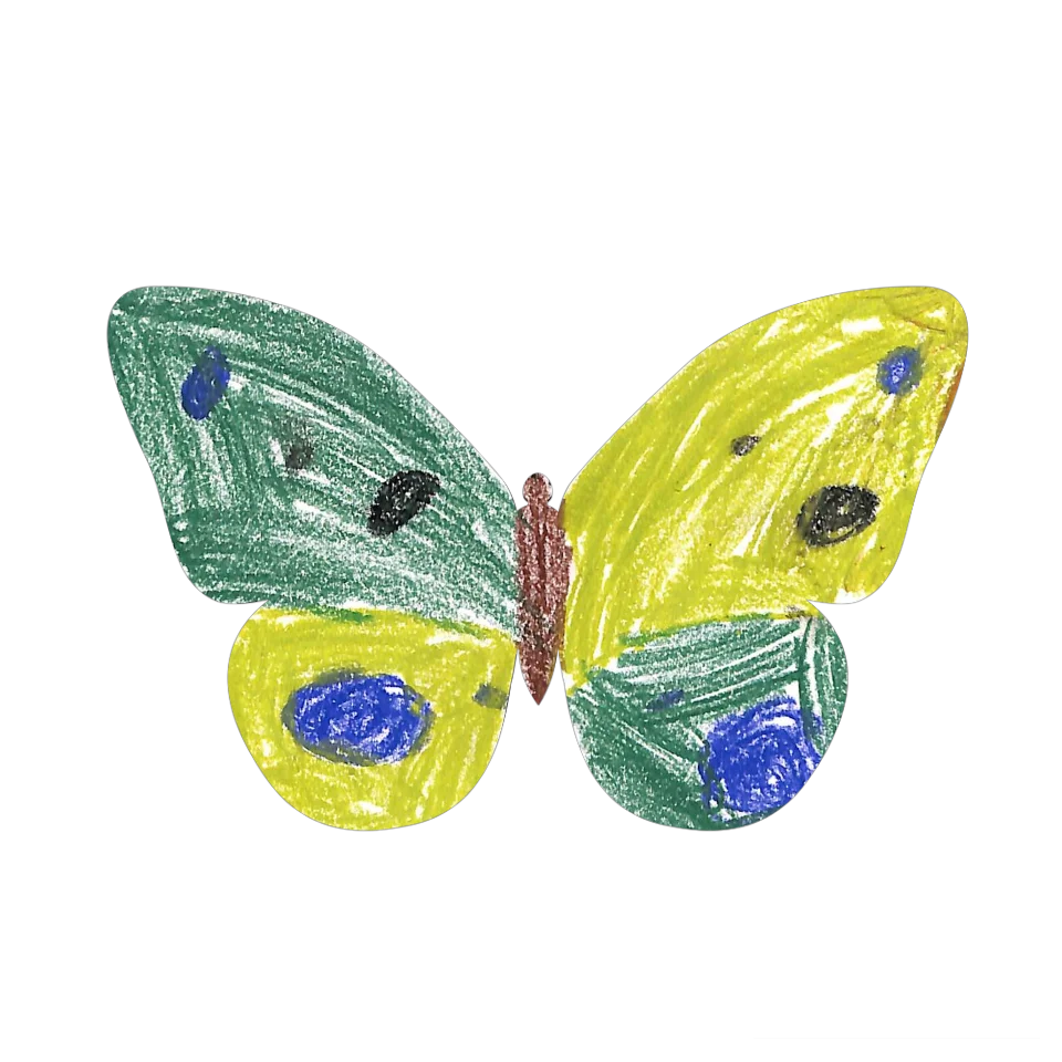 Original Butterfly Image