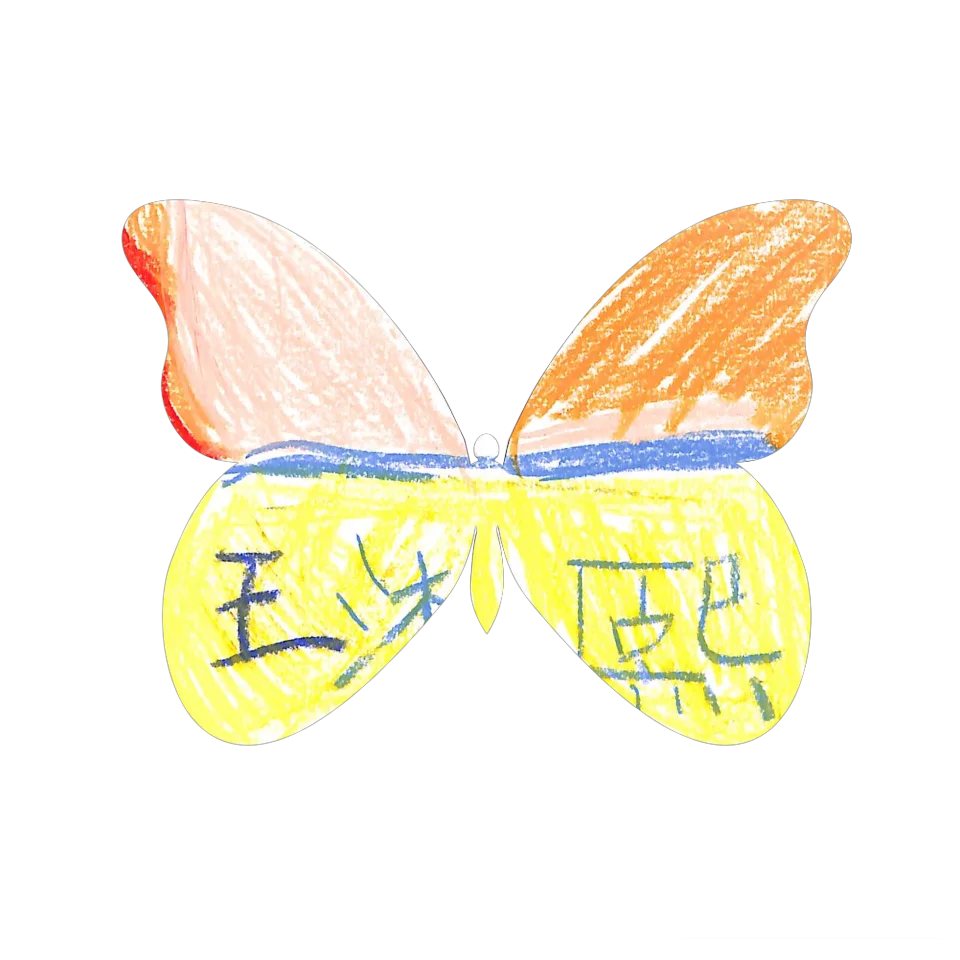 Original Butterfly Image