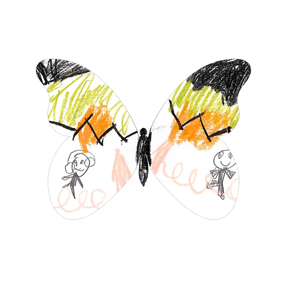 Original Butterfly Image