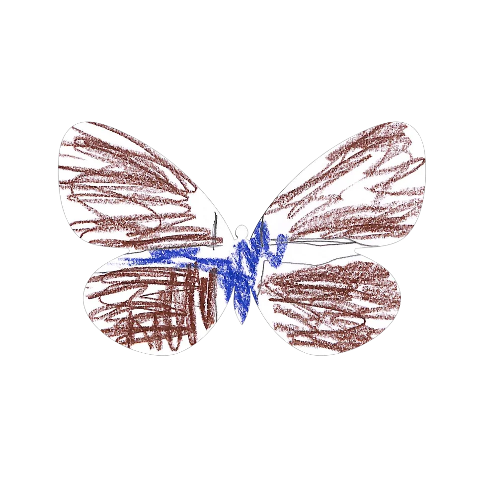 Original Butterfly Image