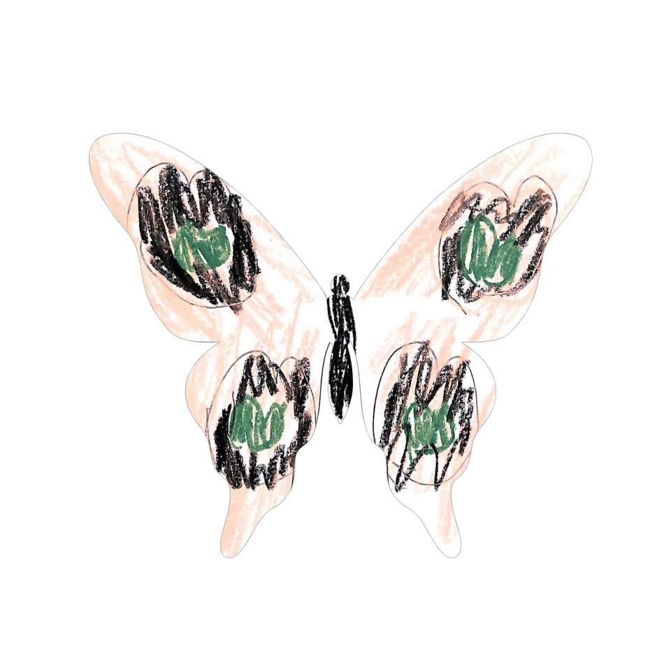 Original Butterfly Image
