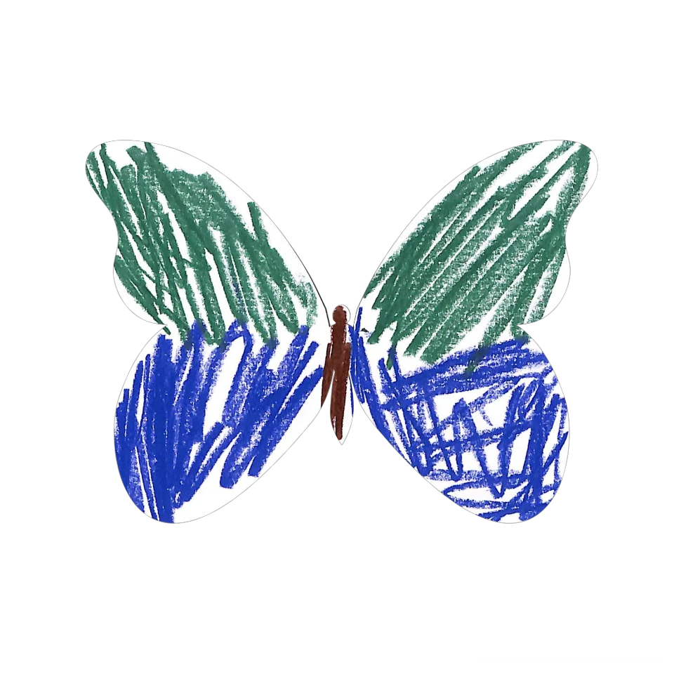 Original Butterfly Image