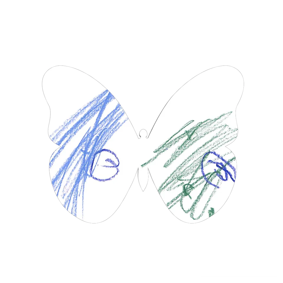 Original Butterfly Image