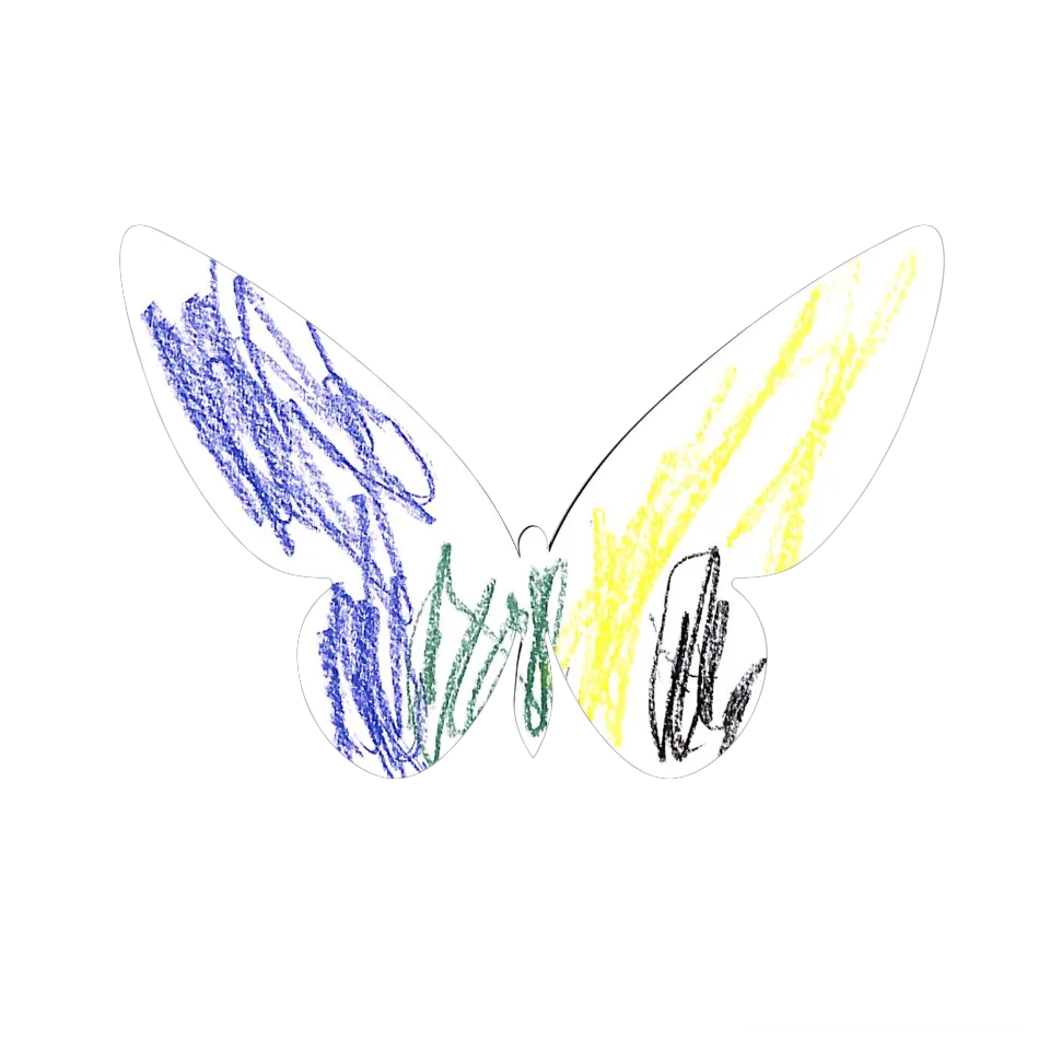 Original Butterfly Image
