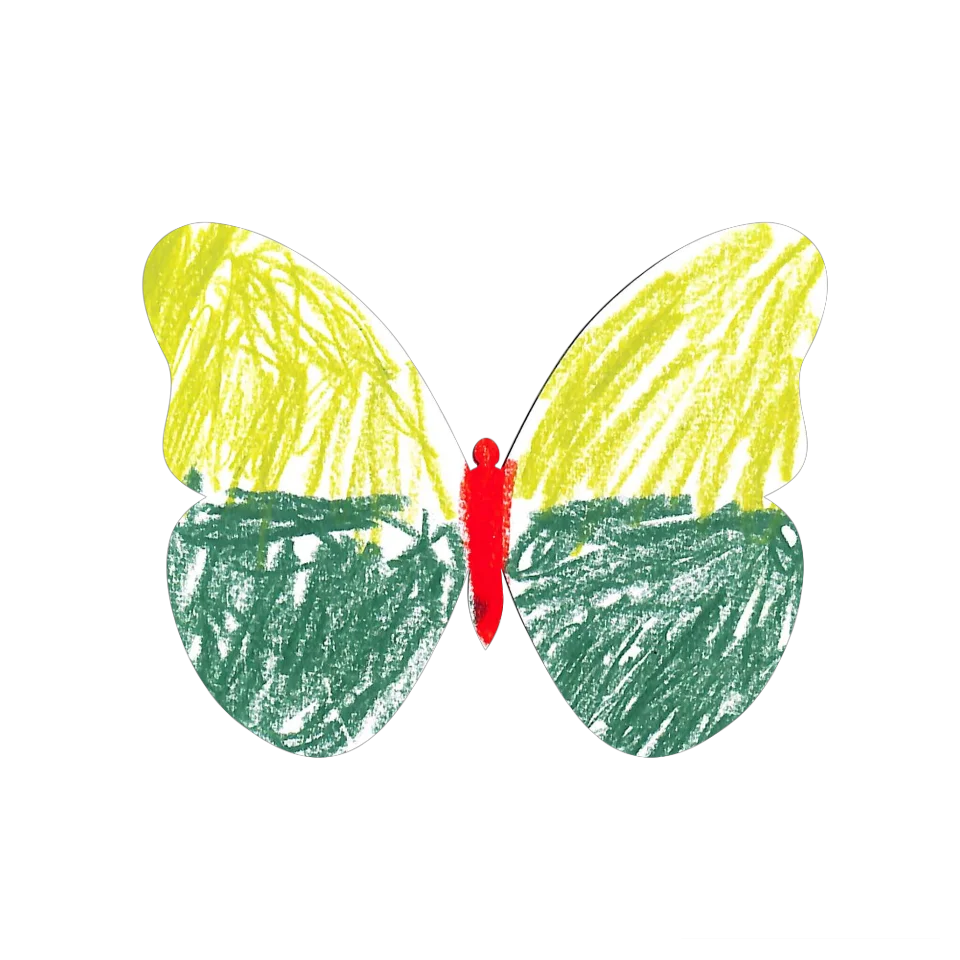 Original Butterfly Image