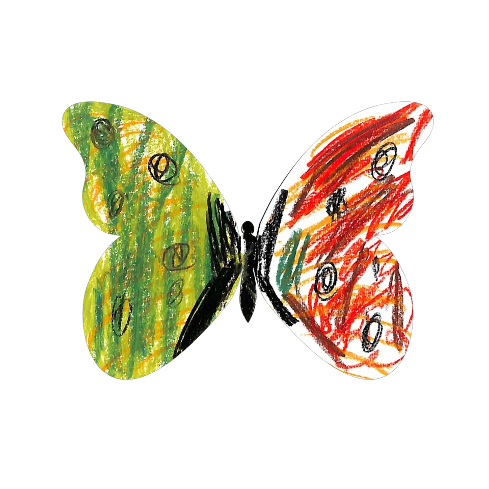 Original Butterfly Image