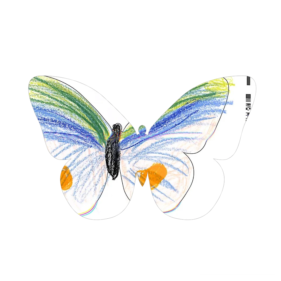 Original Butterfly Image