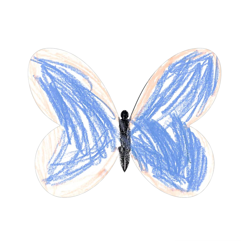 Original Butterfly Image