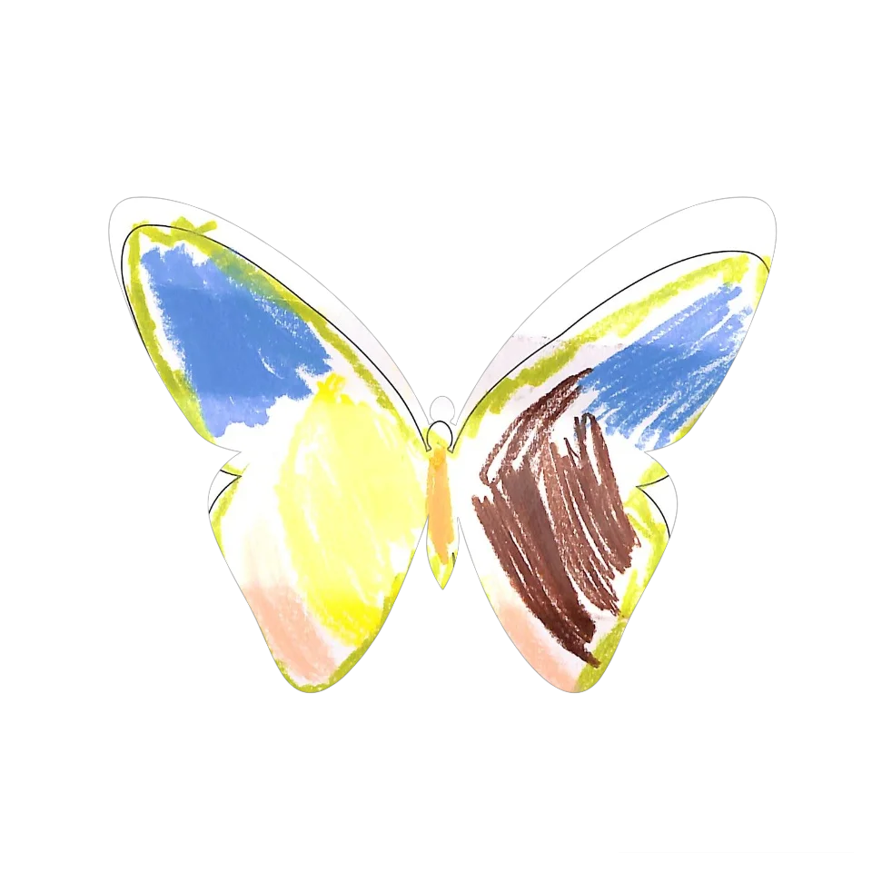 Original Butterfly Image