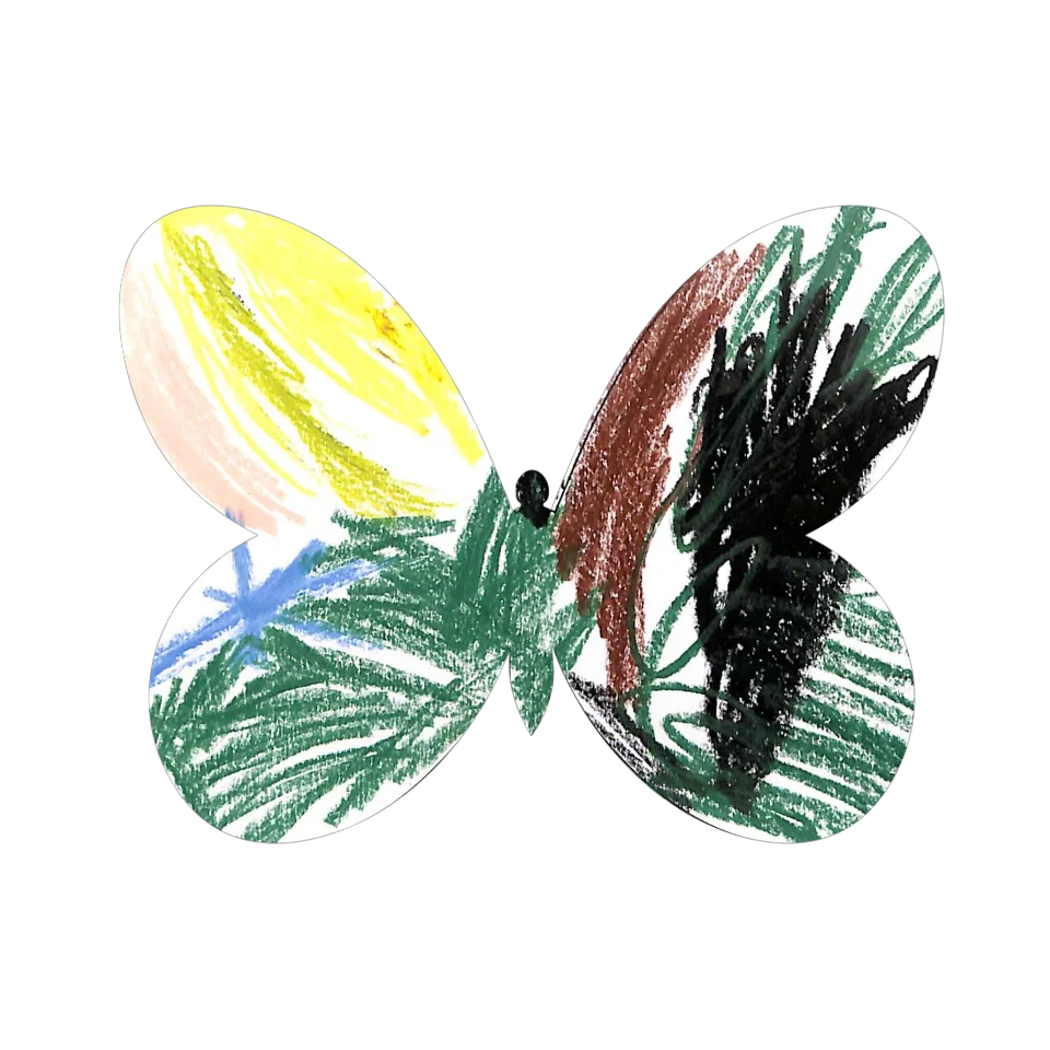 Original Butterfly Image