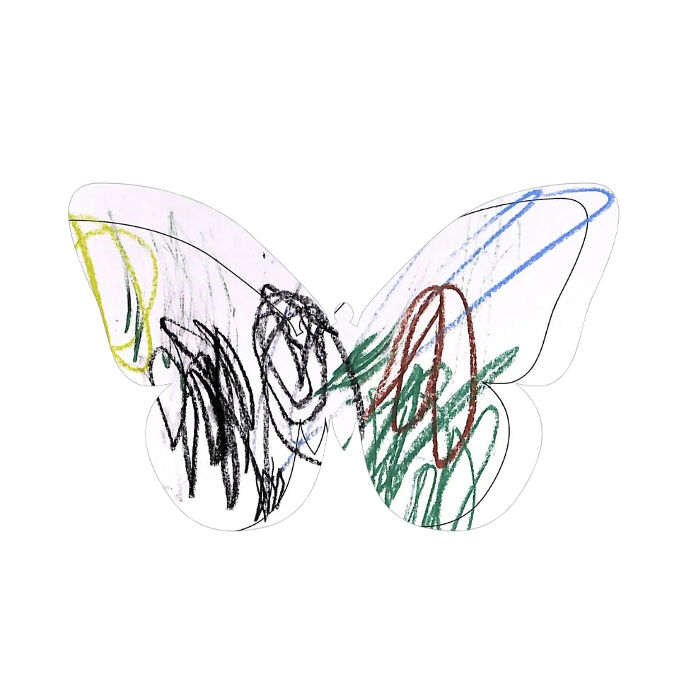 Original Butterfly Image