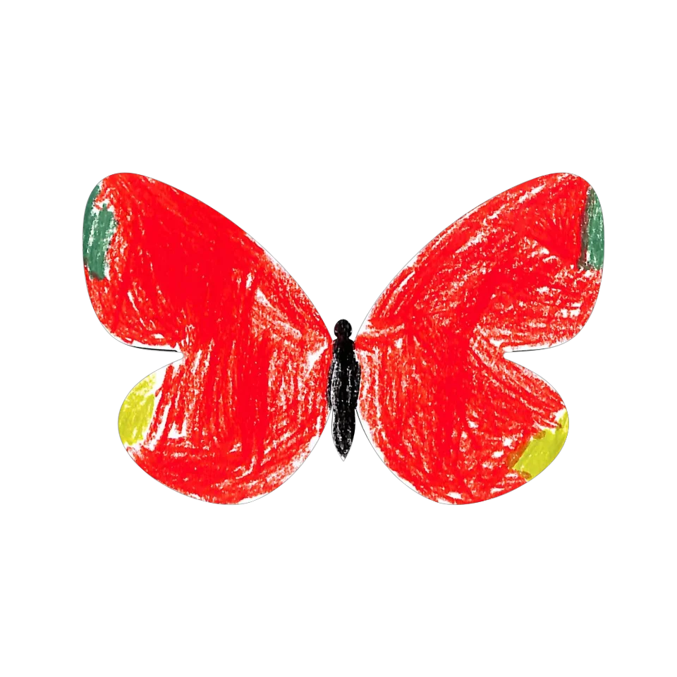 Original Butterfly Image
