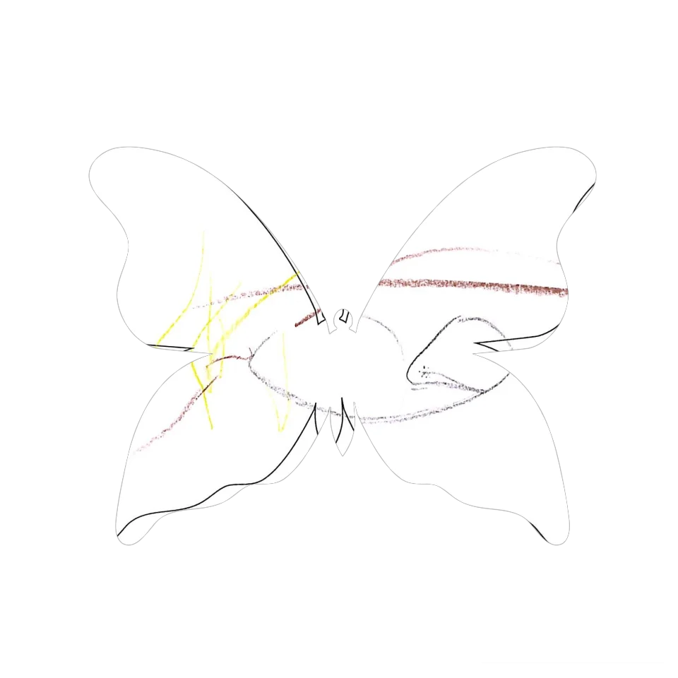 Original Butterfly Image