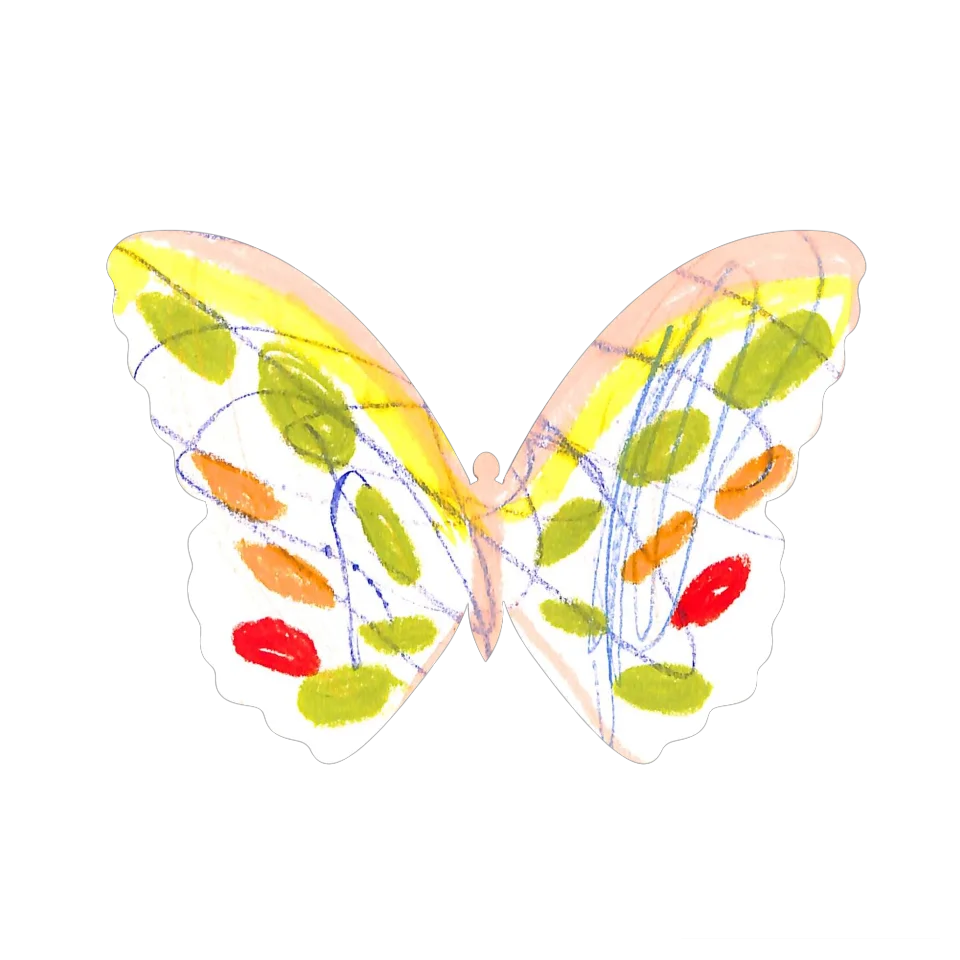 Original Butterfly Image