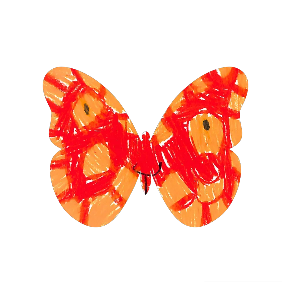 Original Butterfly Image