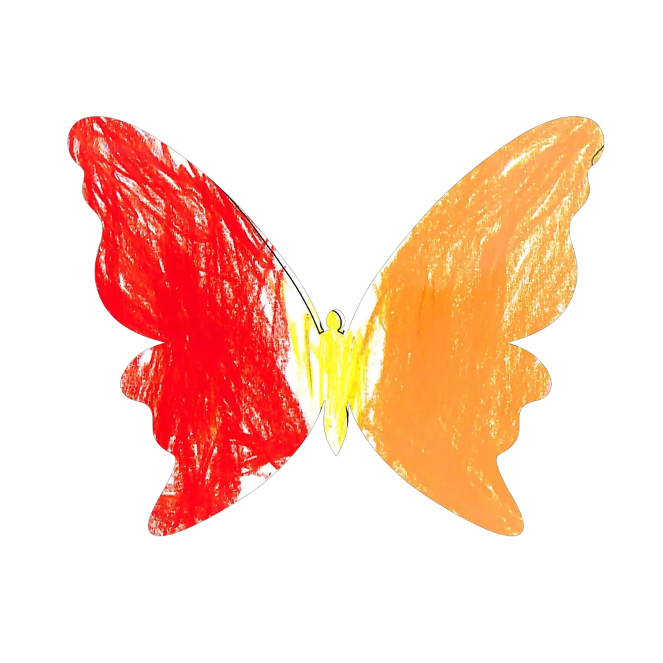 Original Butterfly Image