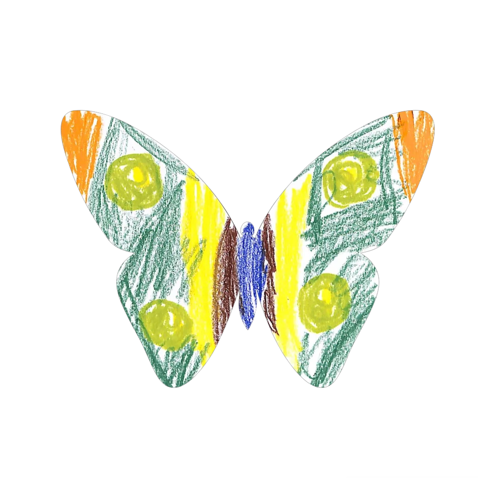 Original Butterfly Image