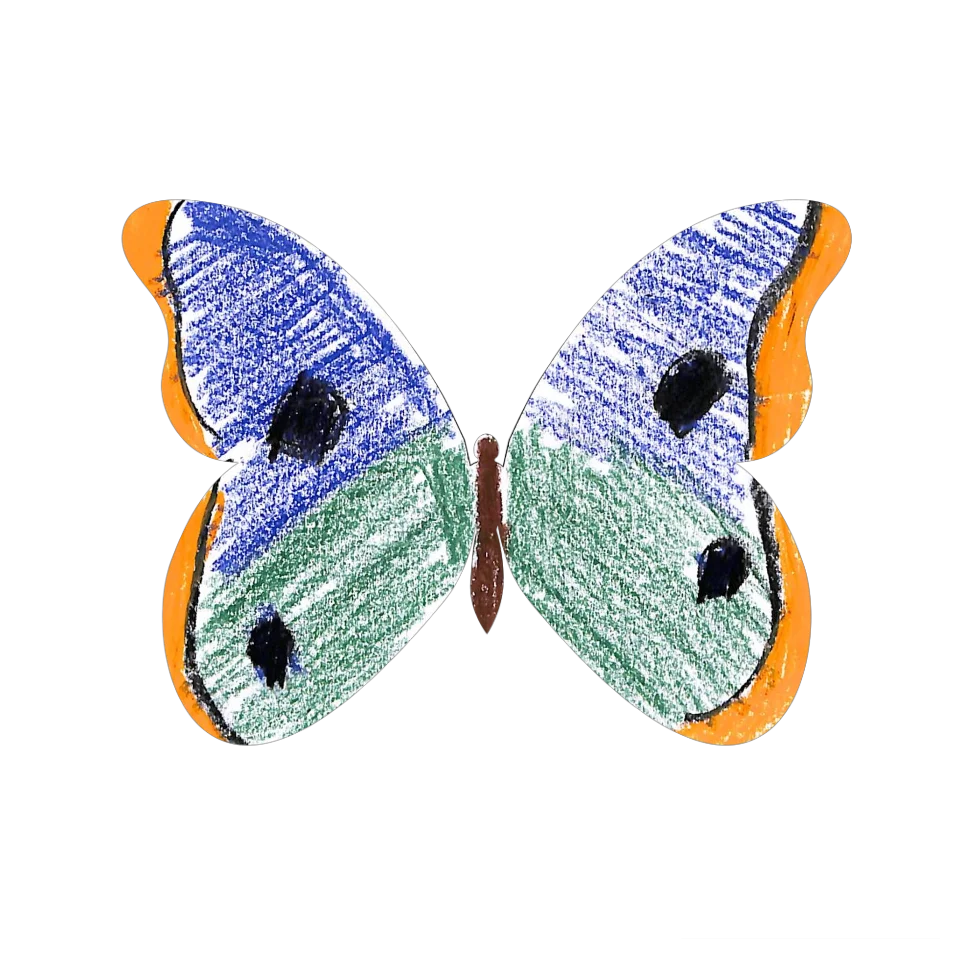 Original Butterfly Image