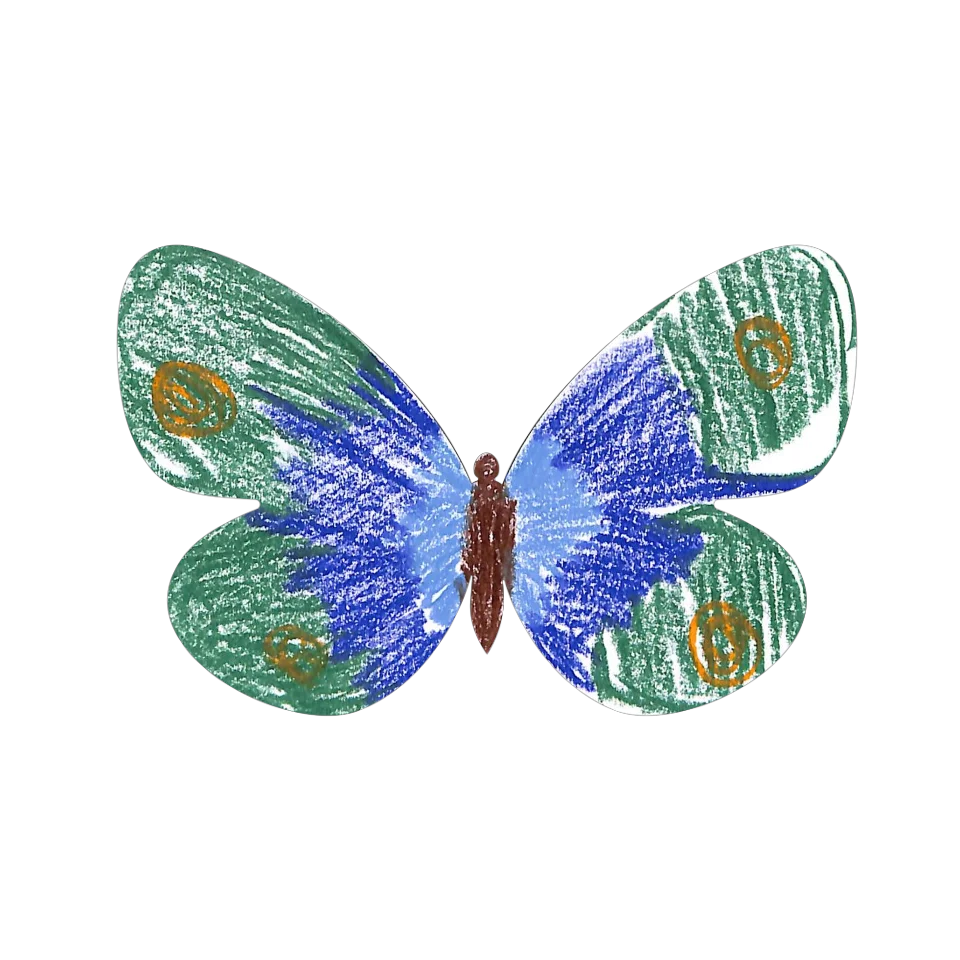 Original Butterfly Image