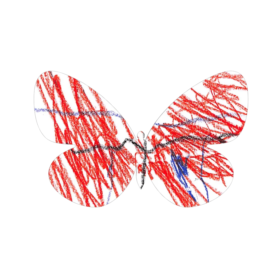 Original Butterfly Image