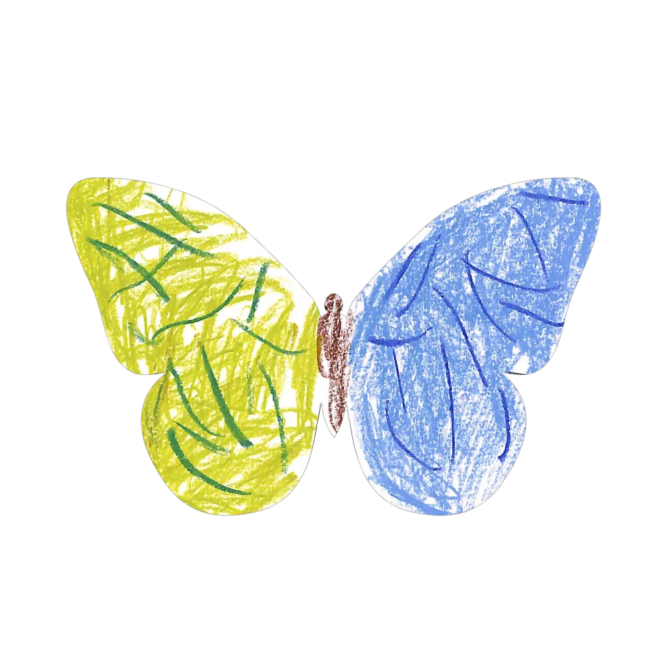Original Butterfly Image
