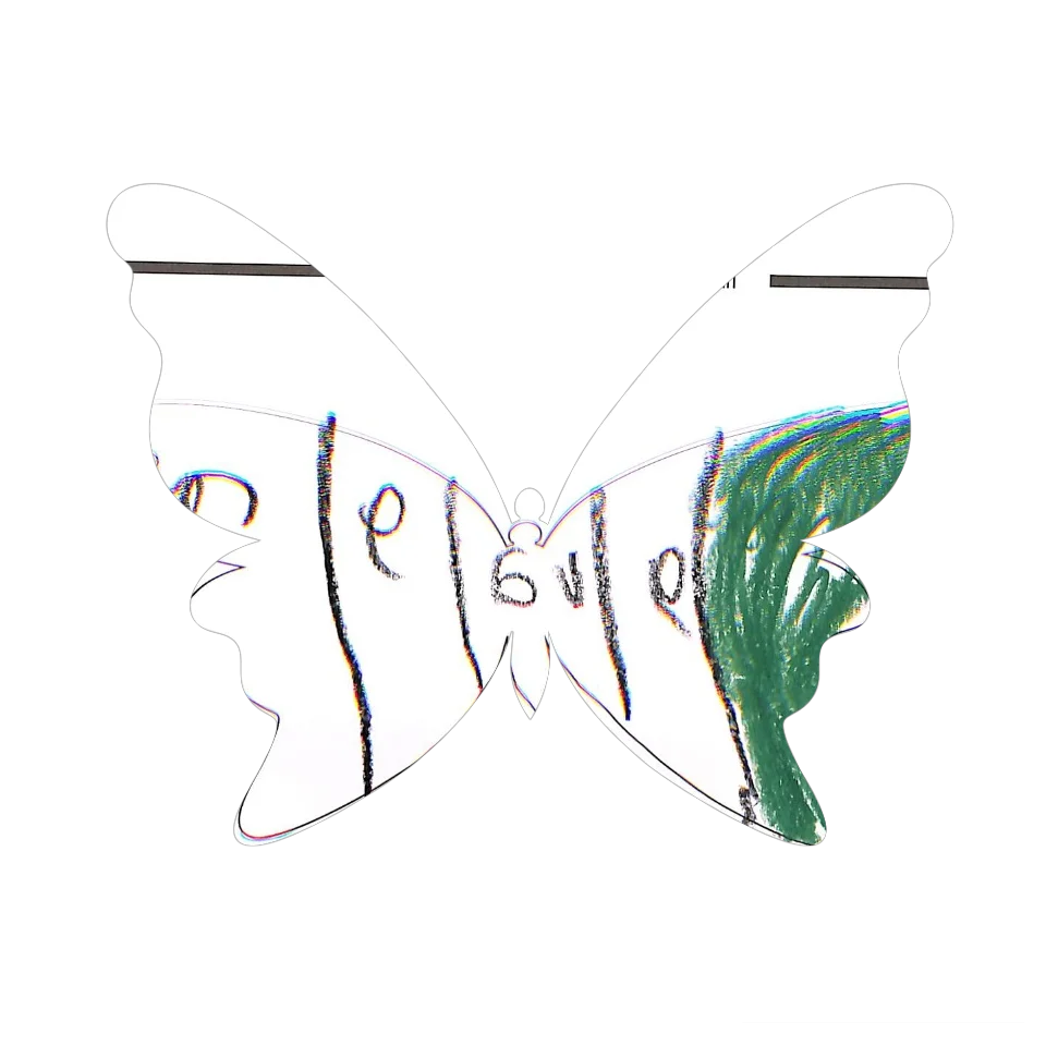 Original Butterfly Image