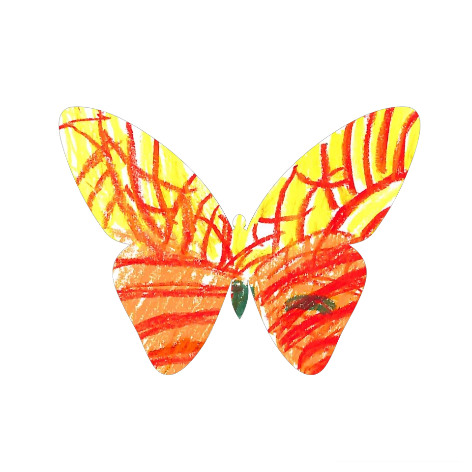 Original Butterfly Image