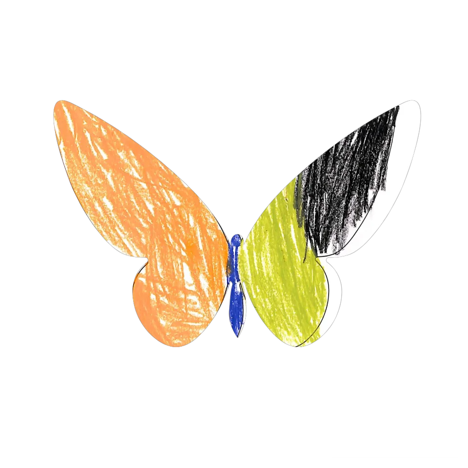 Original Butterfly Image