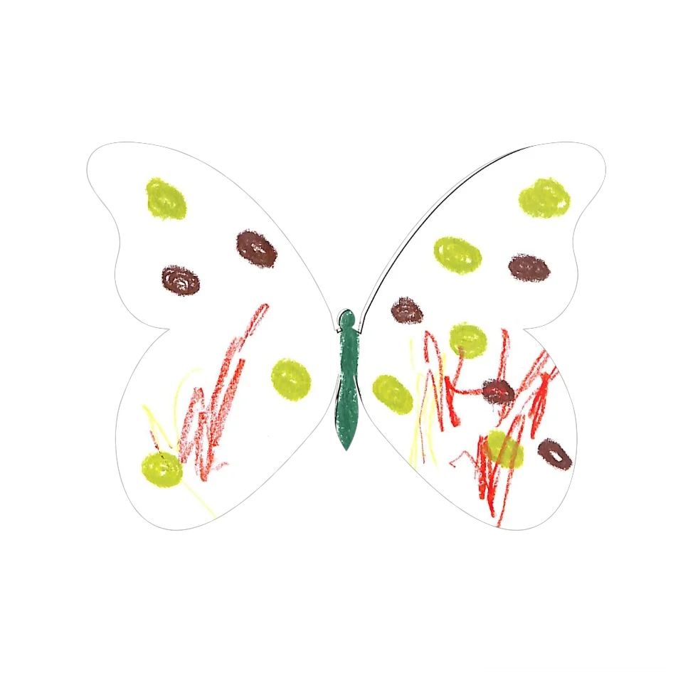 Original Butterfly Image