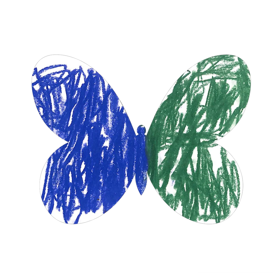 Original Butterfly Image