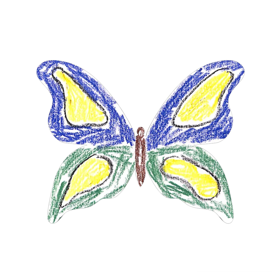 Original Butterfly Image
