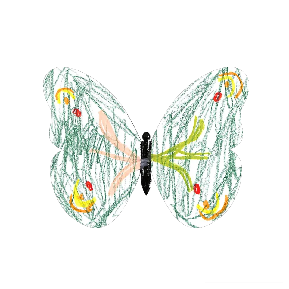 Original Butterfly Image
