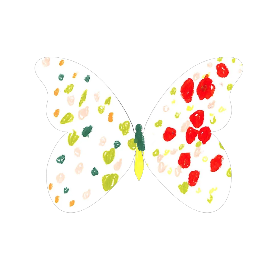 Original Butterfly Image