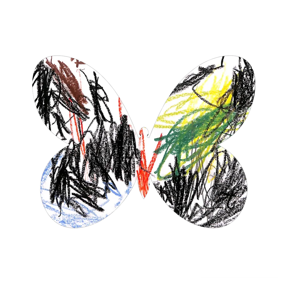 Original Butterfly Image