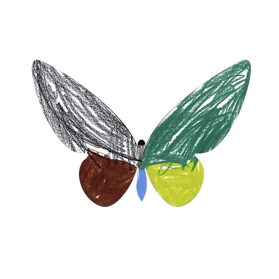 Original Butterfly Image