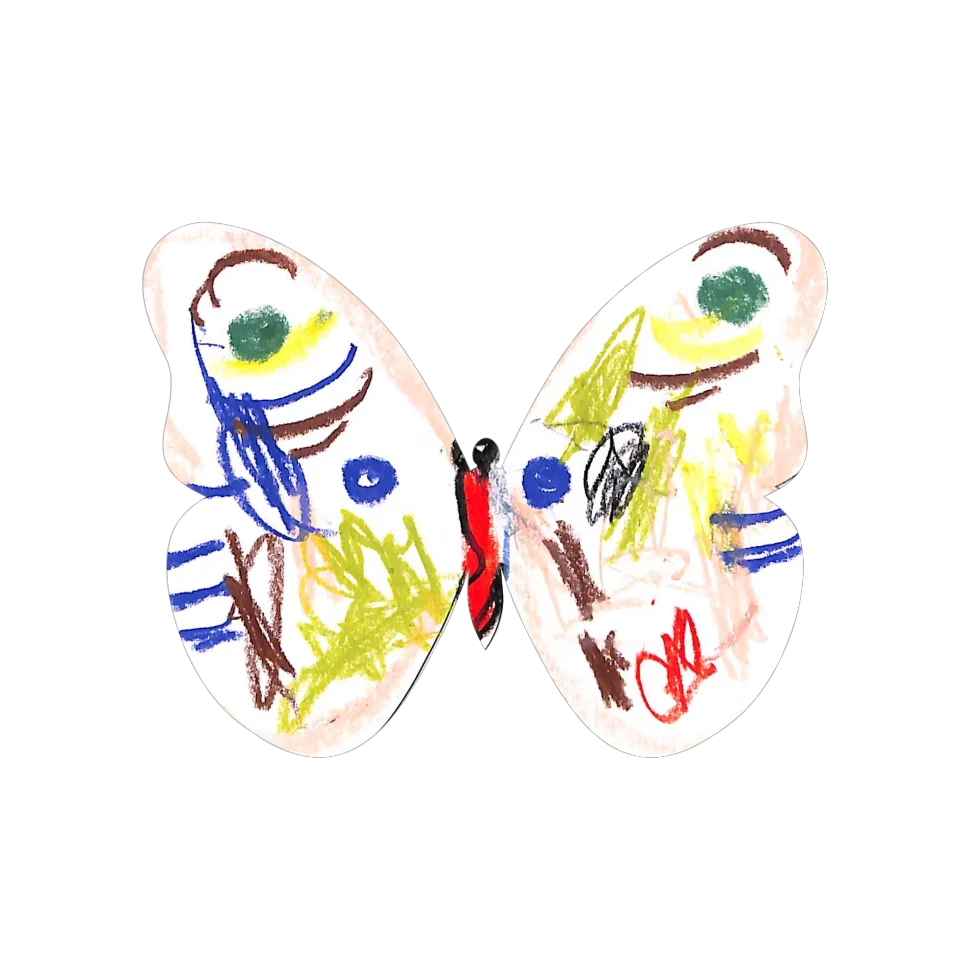 Original Butterfly Image