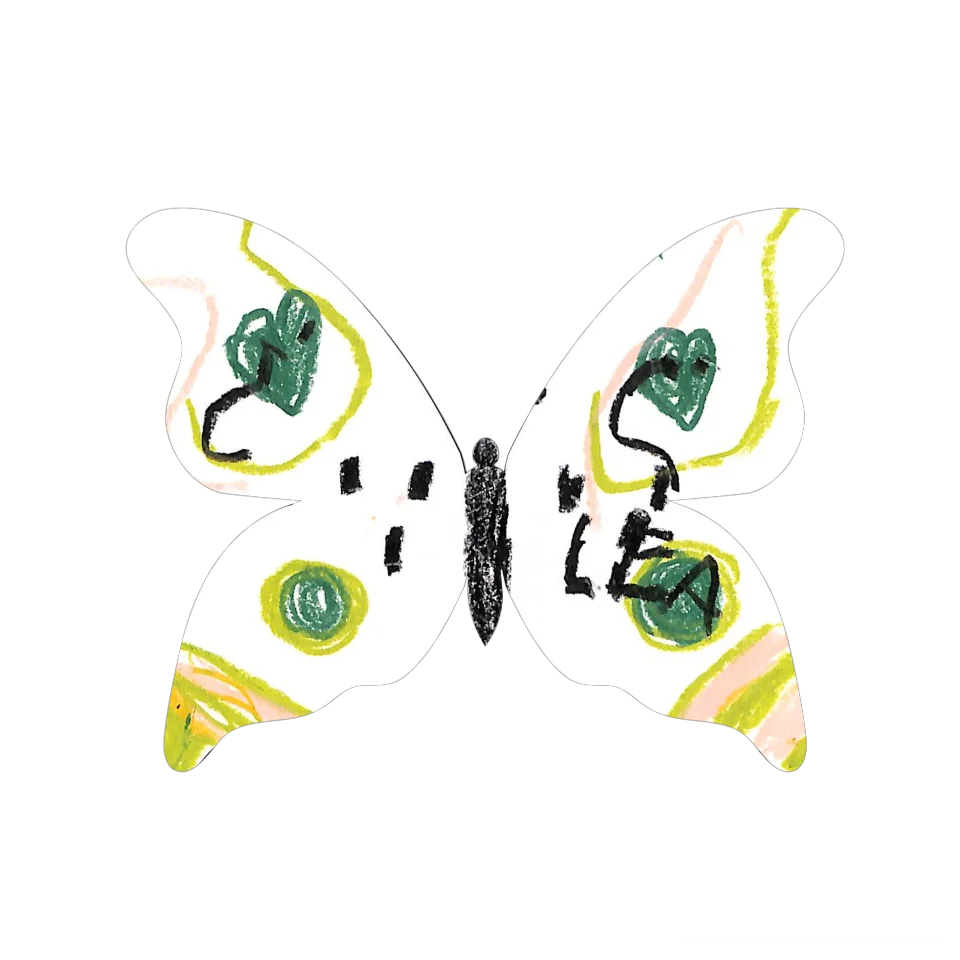 Original Butterfly Image