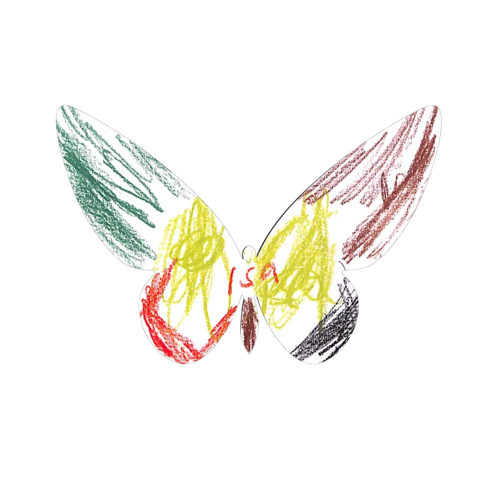 Original Butterfly Image