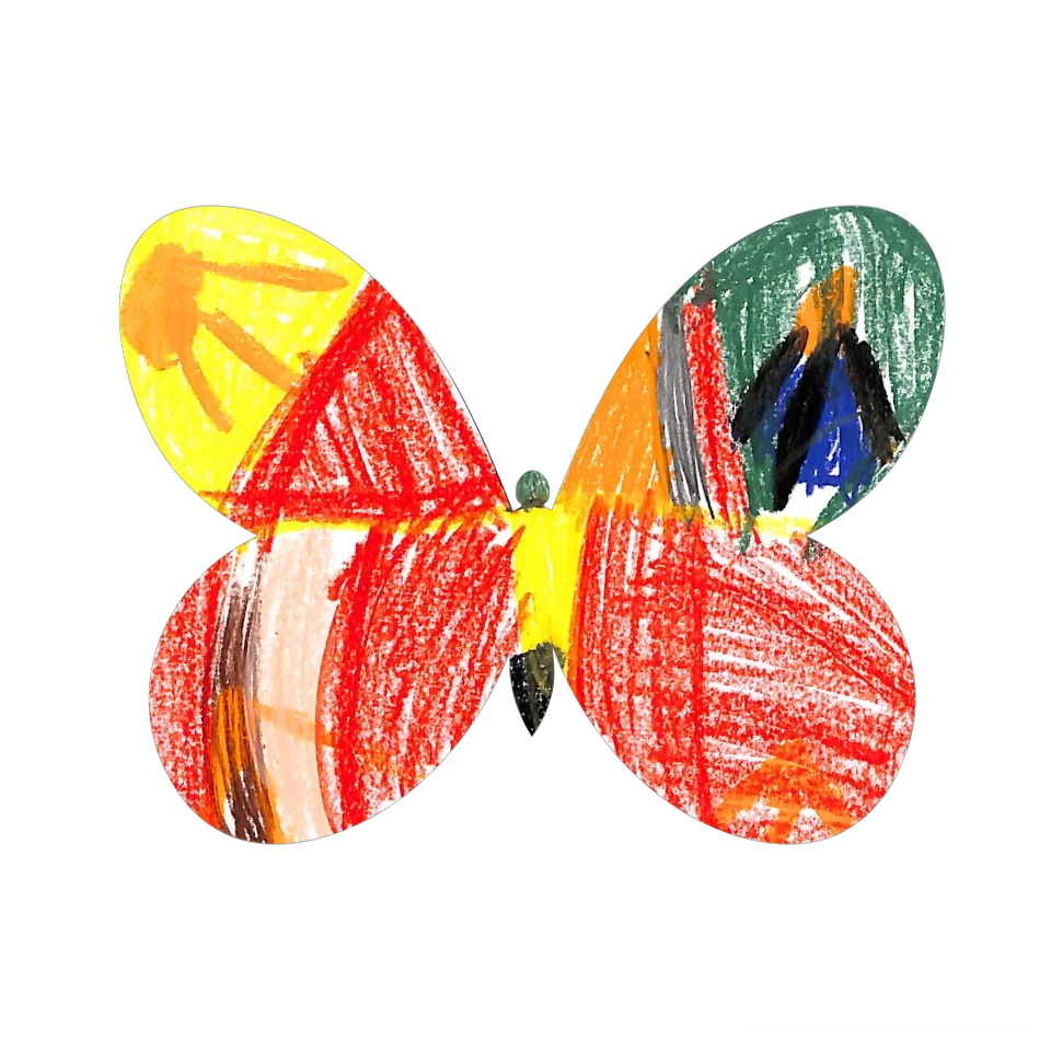 Original Butterfly Image
