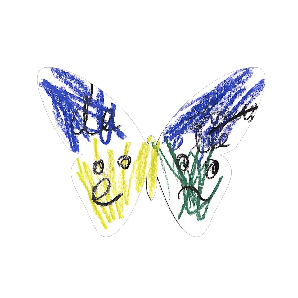 Original Butterfly Image
