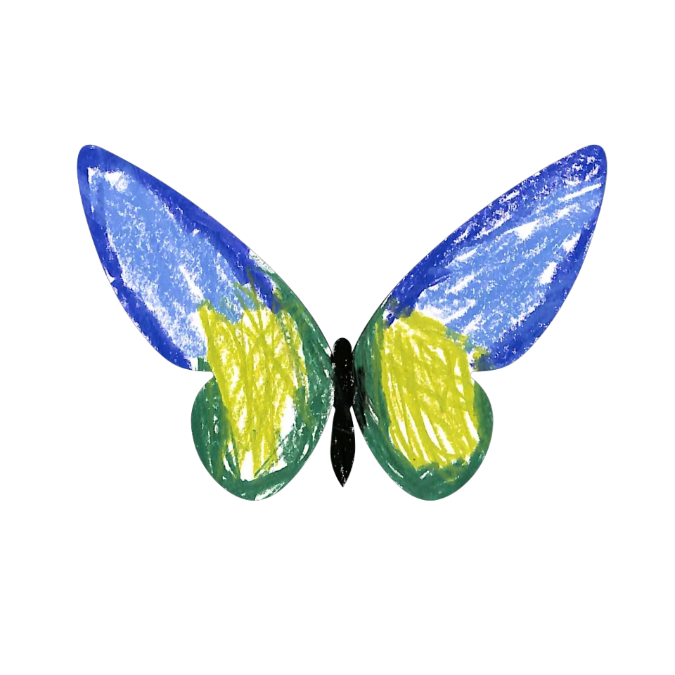 Original Butterfly Image