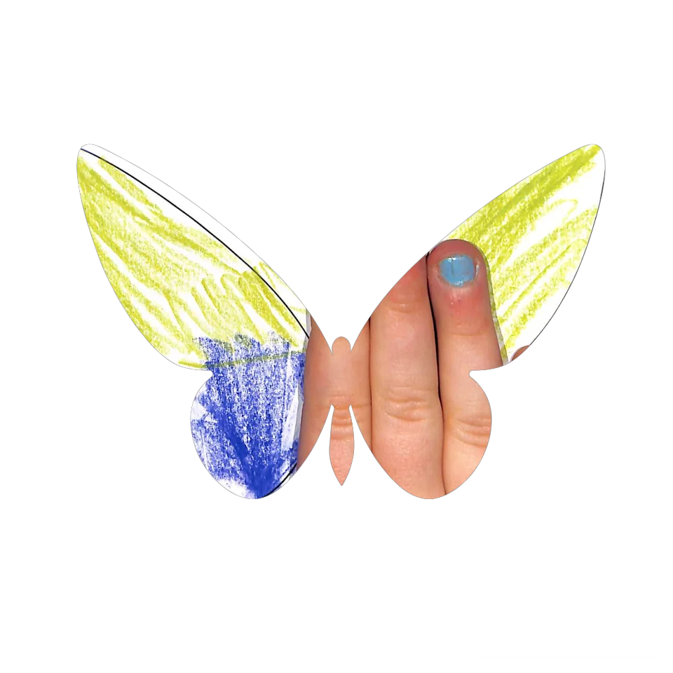 Original Butterfly Image