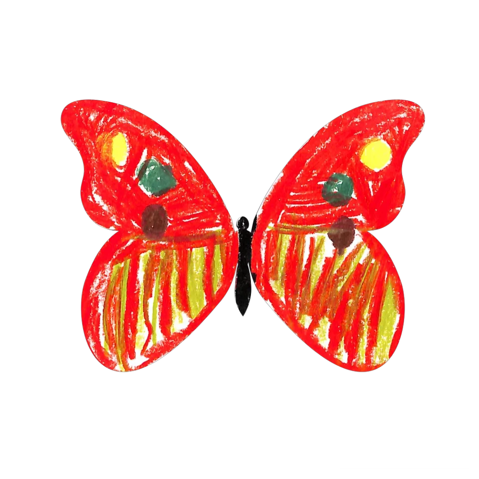 Original Butterfly Image