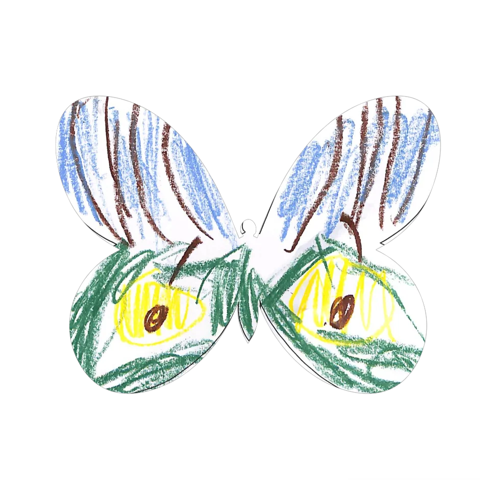 Original Butterfly Image
