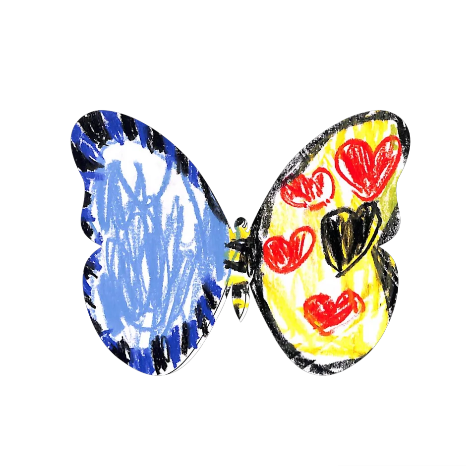 Original Butterfly Image