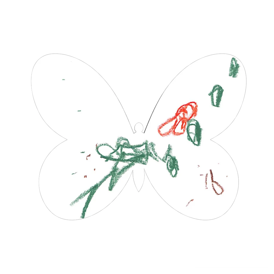 Original Butterfly Image