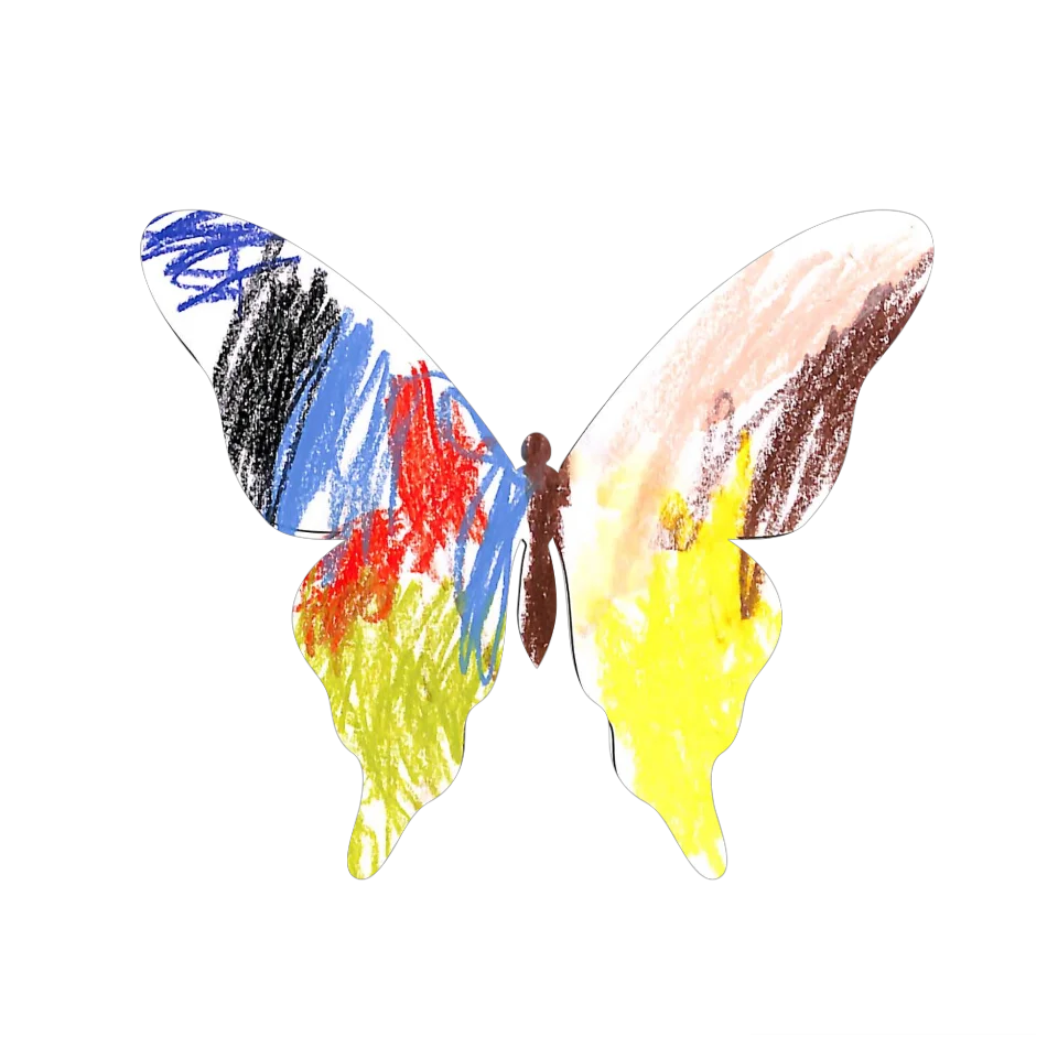 Original Butterfly Image